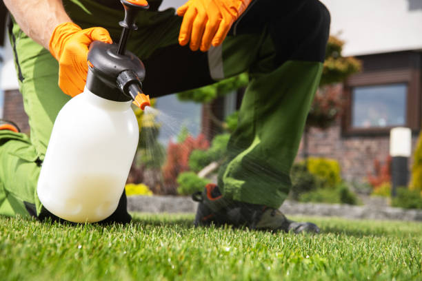 Best Organic or Eco-Friendly Pest Control  in Smithville, NJ